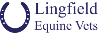 Lingfield Equine